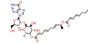 Shimofuridin A